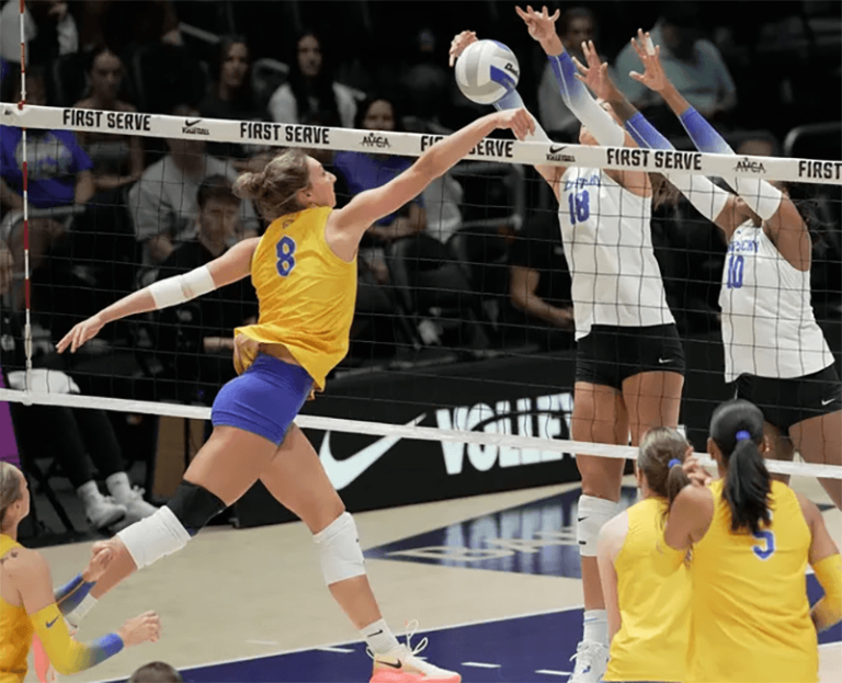 2026 Pitt Panthers vs Kentucky Wildcats Volleyball