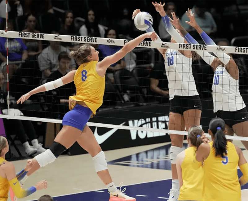 2026 Pitt Panthers vs Kentucky Wildcats Volleyball